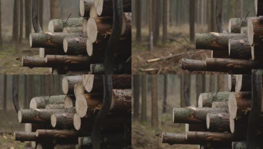 特写，DOF:砍伐的原木被运到锯木厂切割成木材高清在线视频素材下载