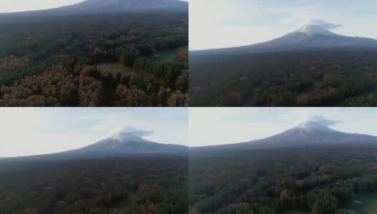 富士山上的鸟瞰图，秋日的森林阳光在阳光下的光线是美丽的，无人机的鸟瞰图，VDO 4k 60fps。高清在线视频素材下载