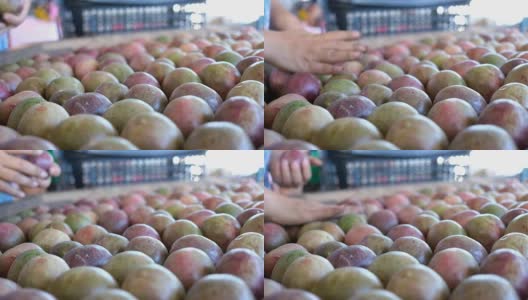 农民们正在分拣和加工百香果，出售。高清在线视频素材下载