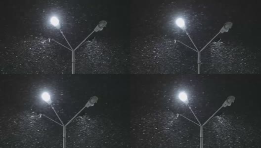 冬夜路灯与飘落的雪高清在线视频素材下载