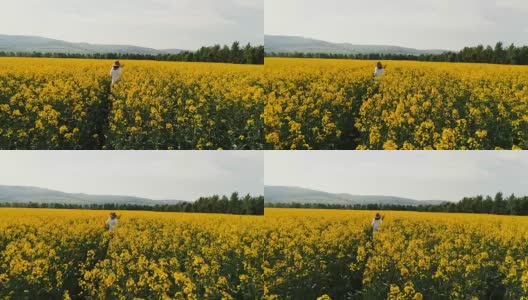 无人机飞行在黄色的开花油菜田，其中一个漂亮的，年轻的女人是位于高清在线视频素材下载
