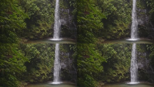令人惊叹的瀑布被绿色植物包围的岩石在马什皮云森林在厄瓜多尔-中景高清在线视频素材下载