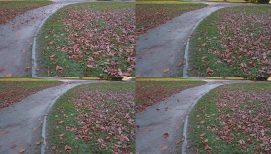 秋天的落叶在公园里。高清在线视频素材下载
