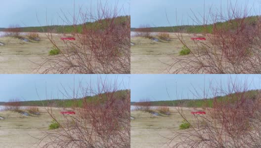 岸边的红船和柳树丛中高清在线视频素材下载