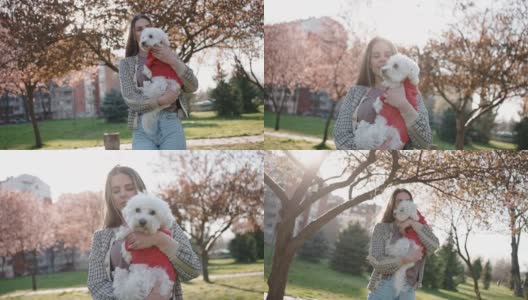 在盛开的树木之间，时尚的年轻女子背着她的马耳他狗，在他们的春天散步高清在线视频素材下载