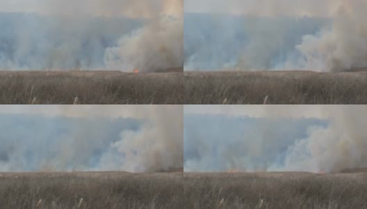 大火伴随着火焰和烟雾燃烧着周围的自然环境高清在线视频素材下载