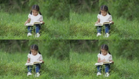 女孩读书高清在线视频素材下载