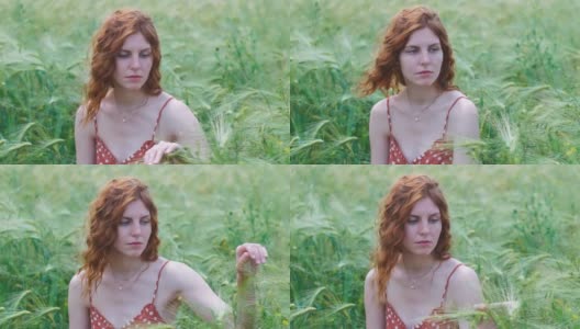 日落时草地上迷人的女性肖像。一个美丽的年轻女子走在麦田里。慢动作高清在线视频素材下载