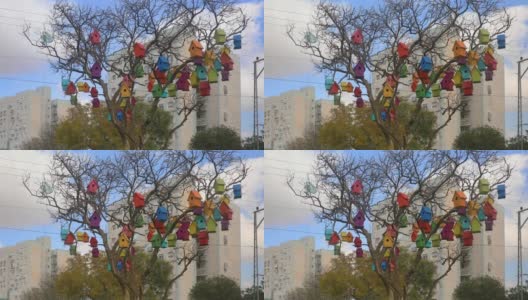 干树上的鸟舍的广角视图高清在线视频素材下载