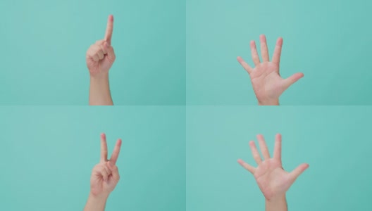 人的手举起的特写镜头，做手势用手指数1到5。用手掌打旗号或做手势的人。在孤立的蓝屏背景中看到。高清在线视频素材下载