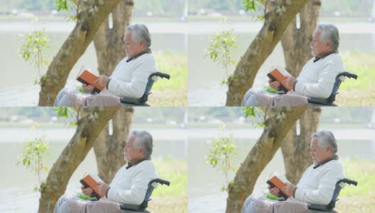 亚裔老人坐在轮椅上在公园里看书高清在线视频素材下载