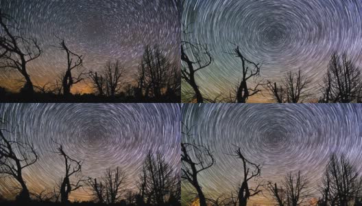 美丽的夜星轨迹围绕着北极星在森林上空旋转高清在线视频素材下载