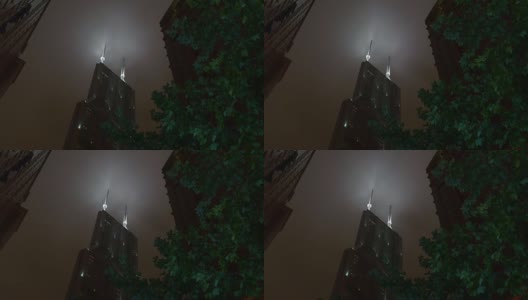 夜光照亮上海城市巨涛大厦顶景4k中国高清在线视频素材下载