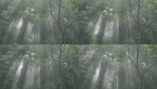 慢镜头的阳光透过树木与喷雾。高清在线视频素材下载