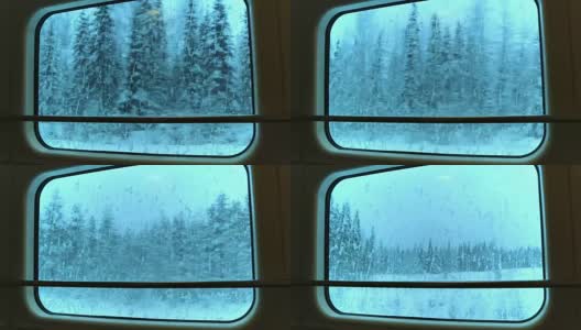 透过火车窗口观看冬天的森林。无缝循环高清在线视频素材下载