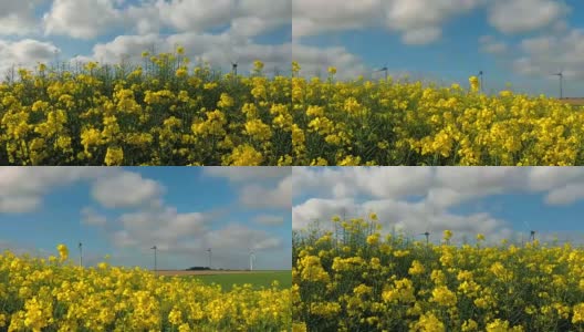 法国用于发电的油菜籽田和风车。在一个阳光明媚的日子里的农业景观。环保电力生产，可再生能源理念高清在线视频素材下载