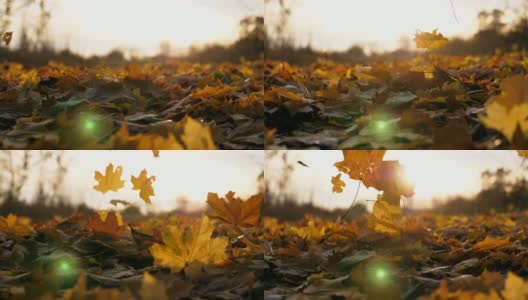 特写黄色的秋叶慢慢地飘落在地上。地上覆盖着干枯鲜艳的树叶。明亮的阳光照亮了落叶。五彩缤纷的秋季。慢镜头摄影高清在线视频素材下载