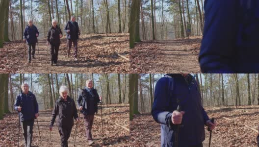 高级徒步旅行者团体在森林里徒步旅行高清在线视频素材下载
