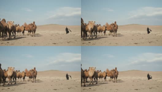 美女民族黑衣，阿拉伯长袍，草原骆驼，沙漠高清在线视频素材下载