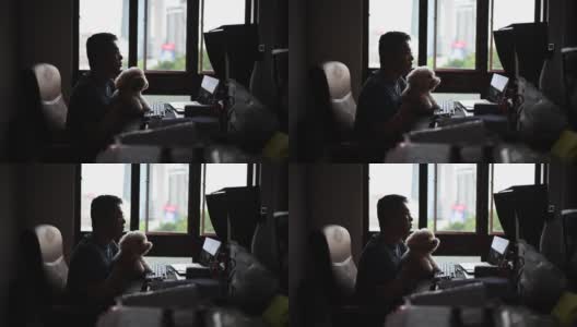 一位亚洲华人中年男子在网上与朋友、家人和商业伙伴聊天、聊天，一边在家里办公室的电脑屏幕上看着摄像头聊天，一边带着他的玩具狮子狗高清在线视频素材下载