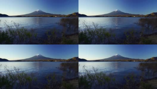 富士山与草地前景，川口湖，日本高清在线视频素材下载