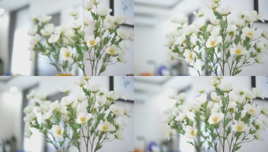 多莉拍摄了花瓶里的一束白花高清在线视频素材下载