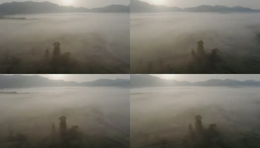 中国安徽鲁村的乡村景观，云海高清在线视频素材下载