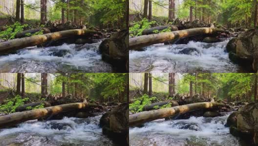 溪水流过森林里的石头，流过一棵倒下的树。胶片颗粒，焦距不清高清在线视频素材下载