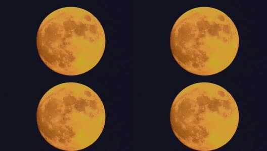 夜晚的黄月亮高清在线视频素材下载