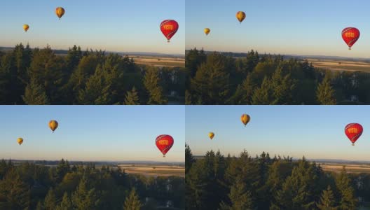 热气球飞过树林高清在线视频素材下载