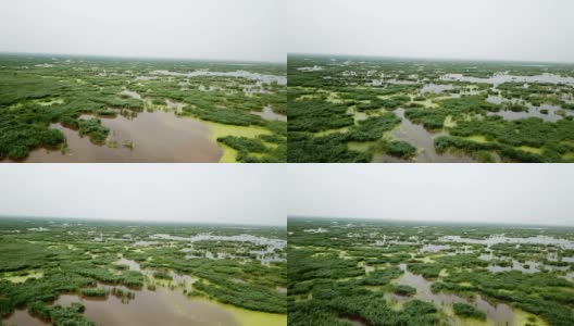无人机拍摄中国黑龙江省的沼泽地高清在线视频素材下载