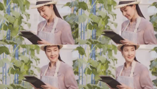 Beautiful woman farmer using tablet to check her organic farm with smile.高清在线视频素材下载