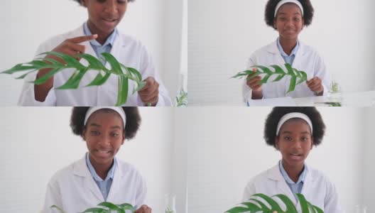 非裔美国年轻科学家女孩现在关于绿叶和解释她的研究项目高清在线视频素材下载