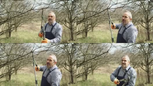 在果园里用长剪刀修剪果树高清在线视频素材下载