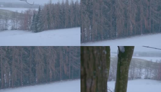 下雪的森林在农村高清在线视频素材下载