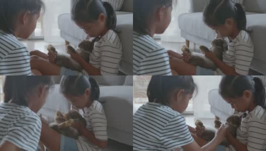 两个亚洲女孩在客厅里一起给他们的宠物兔子喂药液。高清在线视频素材下载