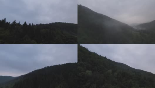 在雾蒙蒙的早晨，在树梢上近距离飞行。航拍在fpv运动无人机云朵自然山谷景观丘陵地形。动态电影的看法。高清在线视频素材下载
