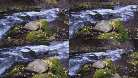 小溪和秋色高清在线视频素材下载
