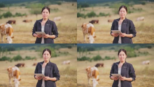 一位女农民正在用电子平板电脑检查牛群高清在线视频素材下载