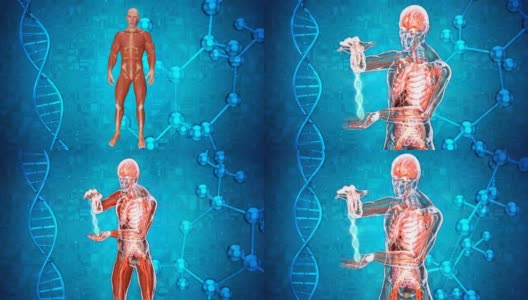 一个男人和他的DNA的抽象医学解剖高清在线视频素材下载