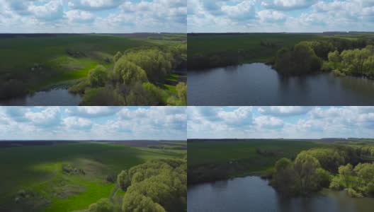 池塘边和小河谷里的柳树，鸟瞰高清在线视频素材下载