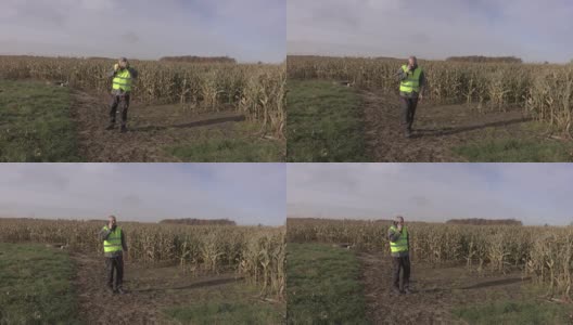 一个农民在受损的玉米地里高清在线视频素材下载