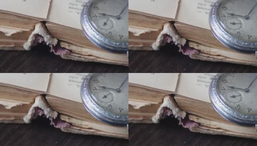 旧怀表放在褪色的旧书旁边，高清在线视频素材下载