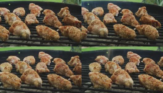鸡翅在户外烧烤架上烹饪，一个人用盐给它们调味高清在线视频素材下载