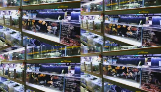 街边市场上的一家水族商店高清在线视频素材下载