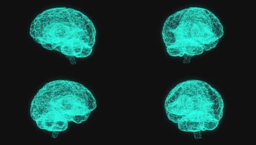 大脑三维全息图高清在线视频素材下载