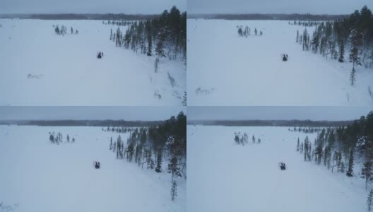 冬季在深雪林里拉雪橇的驯鹿高清在线视频素材下载
