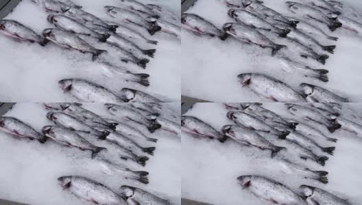 鲜鱼鲑鱼鳟鱼冰，冷冻鱼在超市出售高清在线视频素材下载