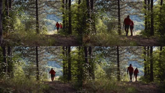 两名登山者穿过森林的剪影高清在线视频素材下载
