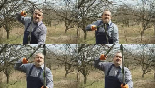 一位老农在他的果园里工作高清在线视频素材下载